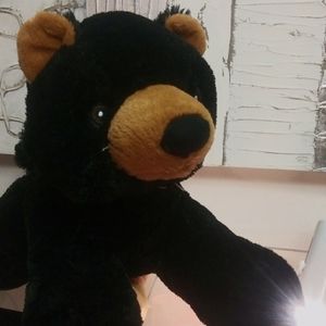 Bear Toy